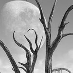 Иллюстрация из энциклопедии игры.